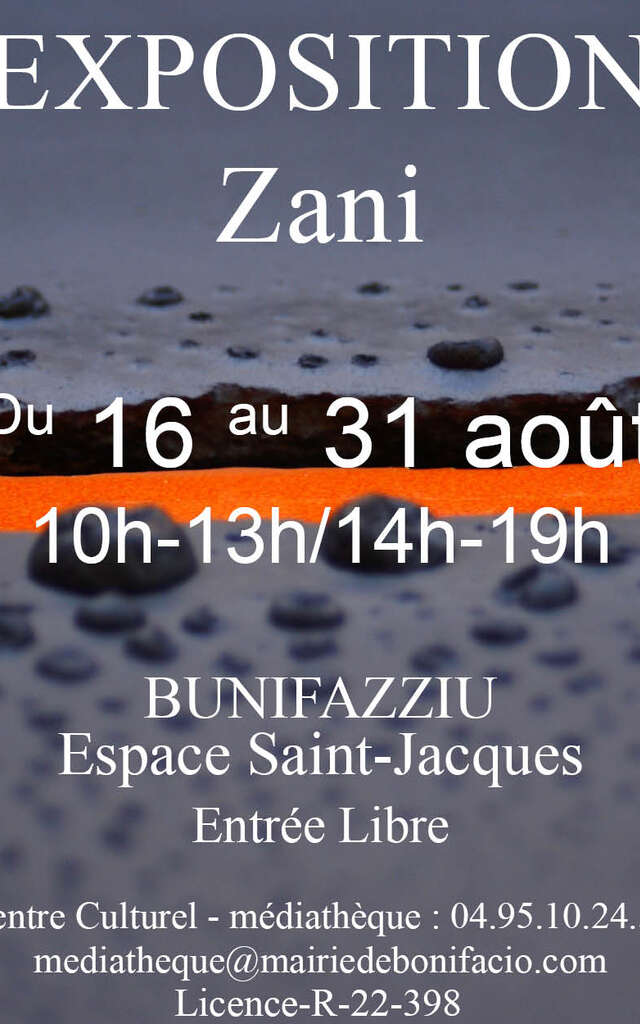 EXPOSITION DE L'ARTISTE SCULPTEUR ZANI