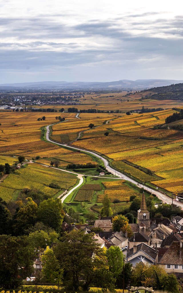 Chemins de Bourgogne