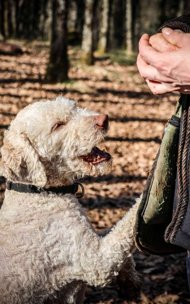 Maison aux Mille Truffes