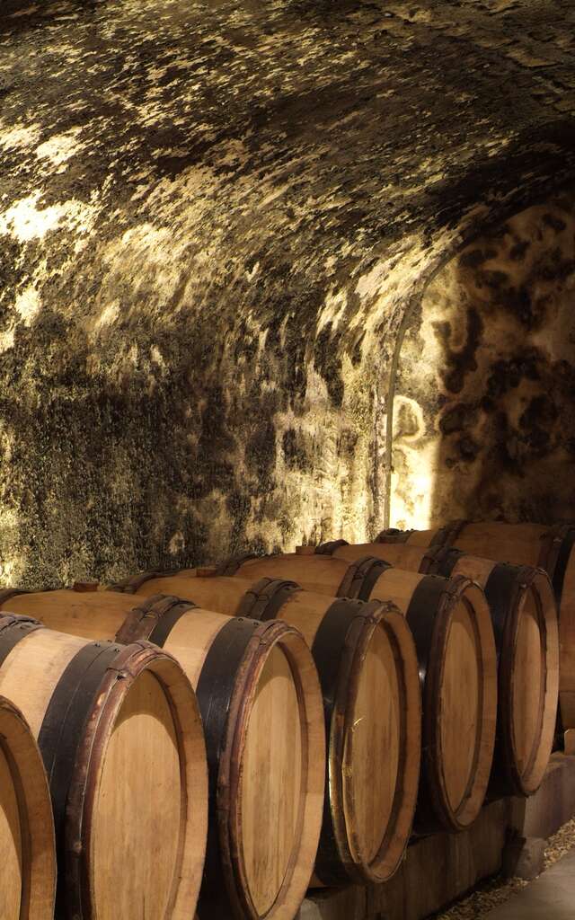 Hôtel-Dieu - Hospices de Beaune - Ateliers des sens, Arômes des caves de l'Hôtel-Dieu