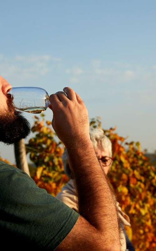 Domaine François et Blandine Rocault – « vis ma vigne » : l’éveil des sens dans les Hautes-Côtes de Beaune