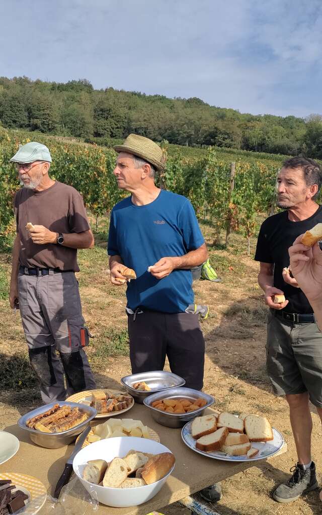 Domaine de la Cozanne