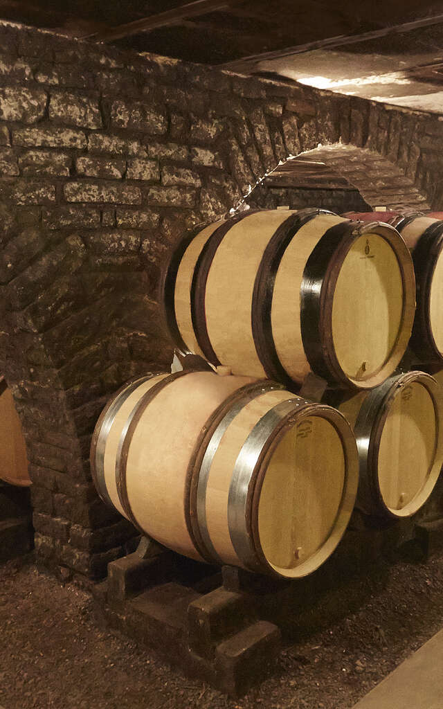 Domaine Besancenot