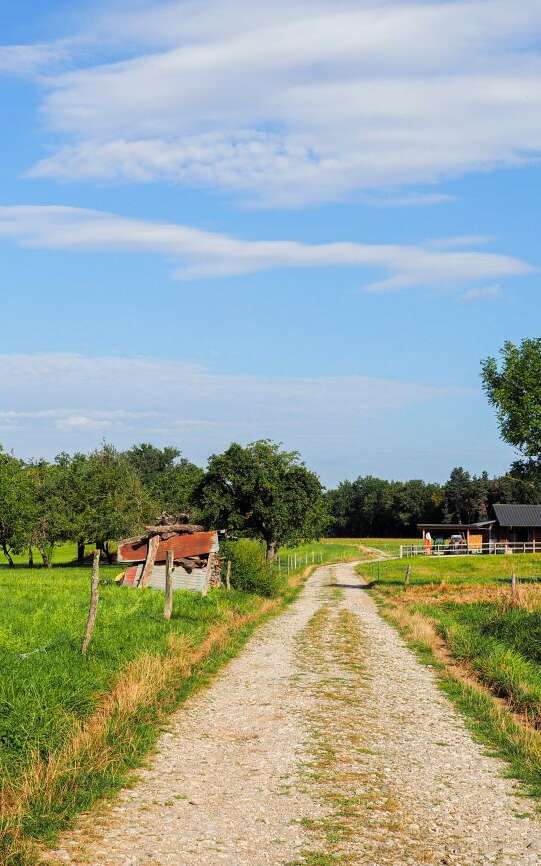 Boucle pédestre de Loëx