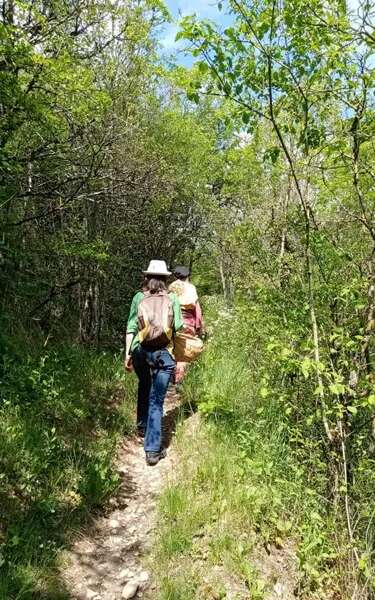 Atelier : Cuisine sauvage
