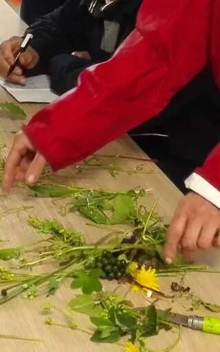 Capucine et Marjolaine- Découverte de la nature et conseillère en santé naturelle