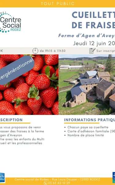 Cueillette de fraises avec le Centre Social de Rodez