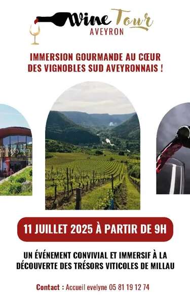Aveyron Wine Tour