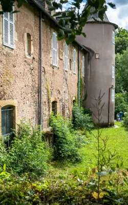 Regards sauvages - Faune