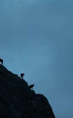 Exposition MONDE PERDU