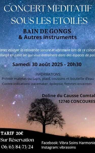 Concert méditatif sous les étoiles