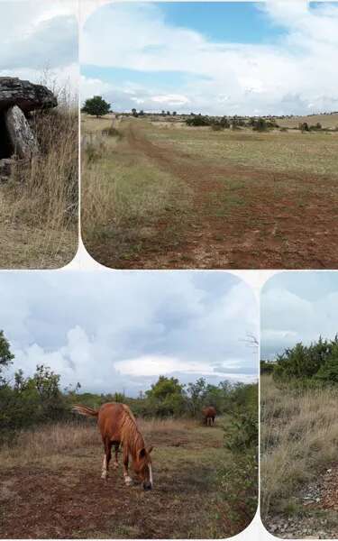 Mercredis cultur'actifs : sortie tumulus, atelier et goûter - COMPLET