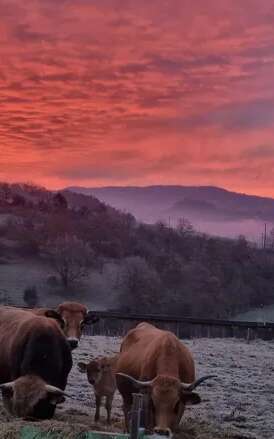 La Ferme des Coustoubis