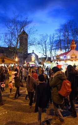 Festival Bonheurs d'Hiver - Village de Noël