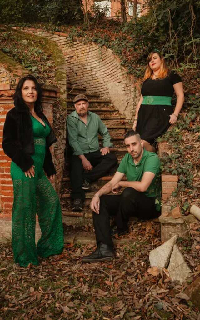 Tara's folk : concert folk irlandais