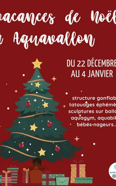 Vacances de Noël à Aquavallon : cours adultes