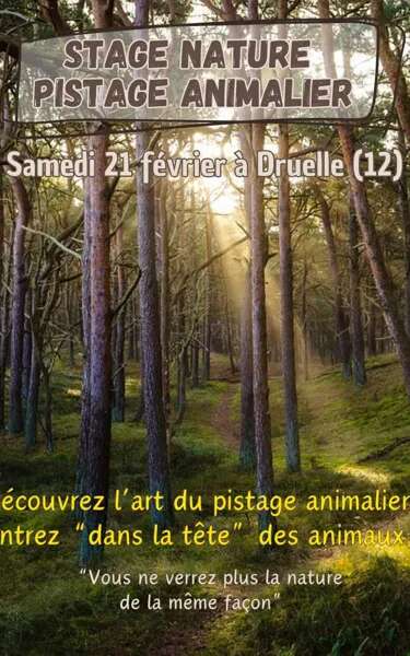 Stage Pistage Animalier (Adultes)