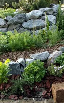 Atelier Jardinage : La Spirale Aromatique