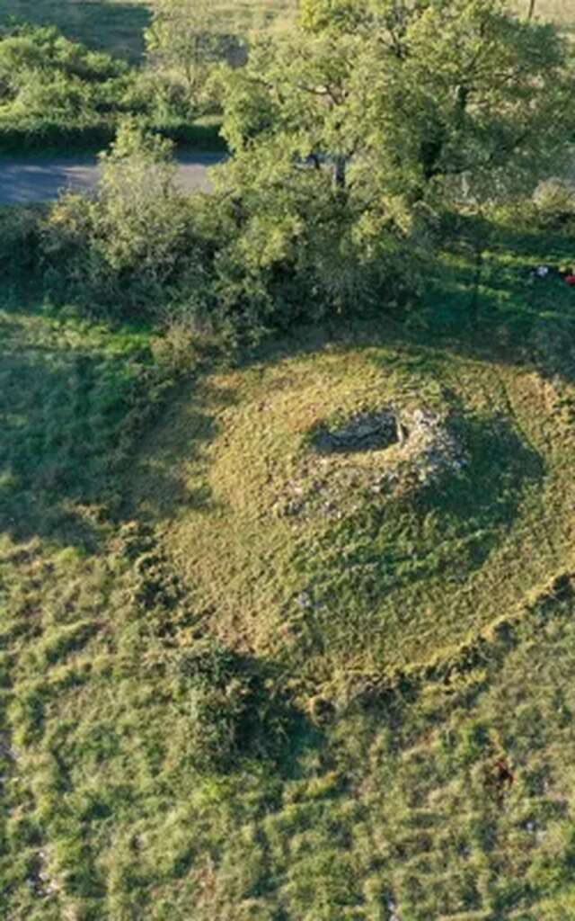 Conférence au musée Fenaille : "Des os aux individus : comment le projet Link redonne une identité aux défunts des dolmens de l'Aveyron"