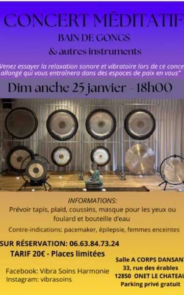 Concert méditatif : Bain de gongs & autres instruments