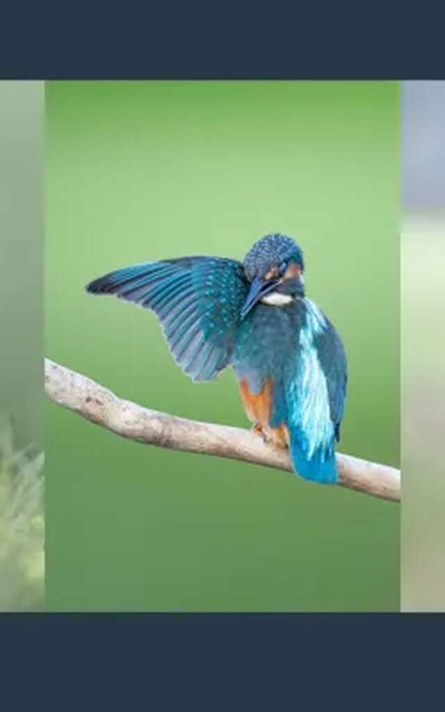 Exposition Théo Bonnefous