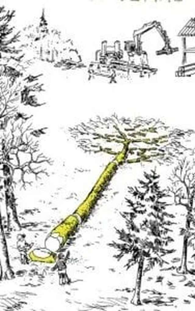 Conférence Mathias Bonneau, bûcheron