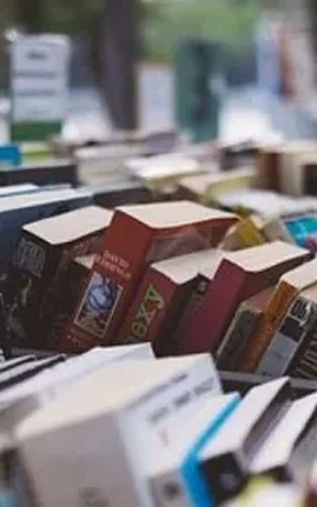 Grande braderie de la médiathèque Paul Géraldini