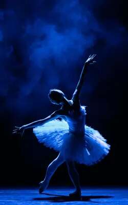 La Baleine : Danse " Secrets du ballet"