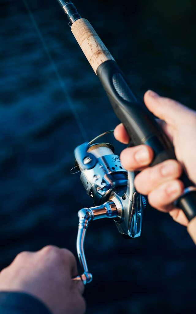 Initiation à la pêche au feeder