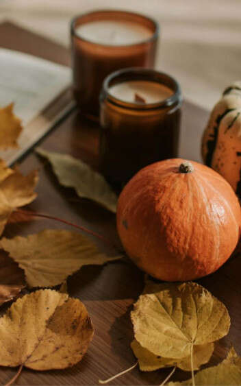Événement Nature & Vous - Décoration zéro déchet d'automne