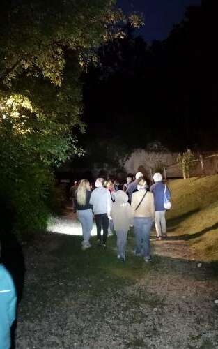 Conservatoire d'Espaces Naturels des Hauts de France - Les Belles de nuit des terrils de l'Escarpelle et des Pâturelles