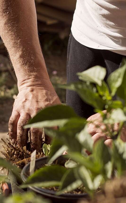 Évènement Nature & Vous - Formation aux traitements naturels