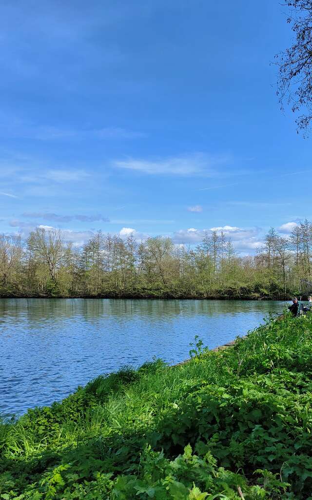 Partez à la découverte des oiseaux du Vivier - Journées Européennes du Patrimoine