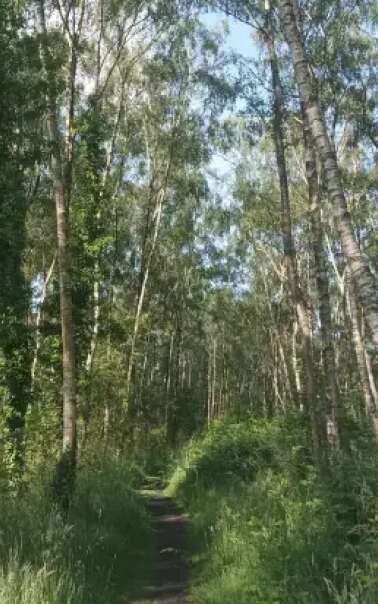 Conservatoire d'Espaces Naturels des Hauts de France - Paysages du Nord !