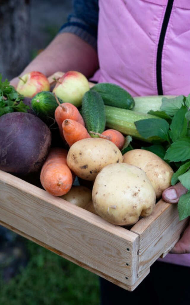 Événement Nature & Vous - Manger malin : Au rythme des saisons