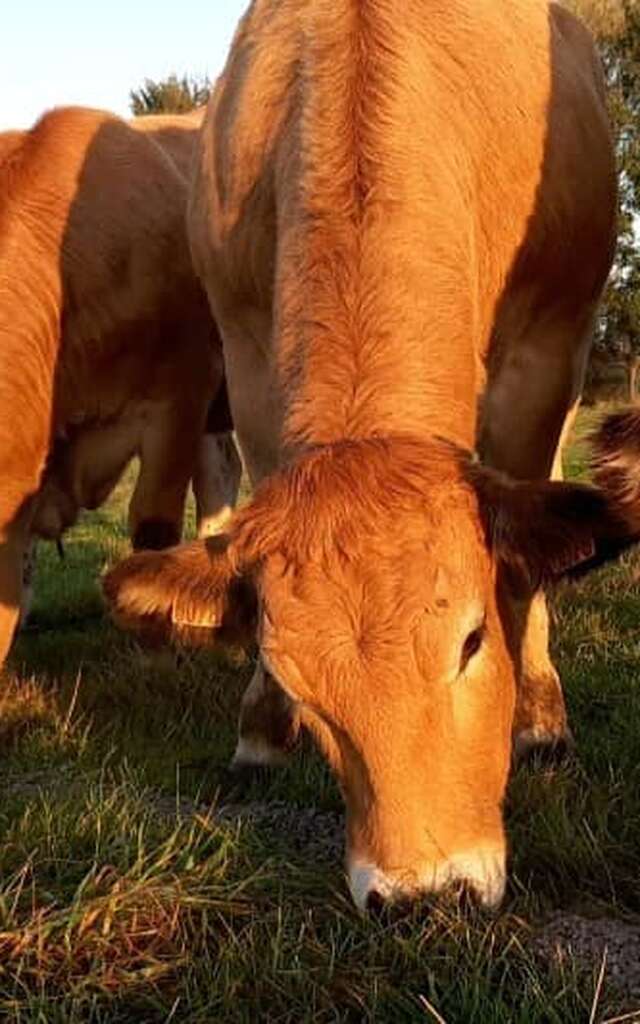 Porte Ouverte à la ferme de Lartois