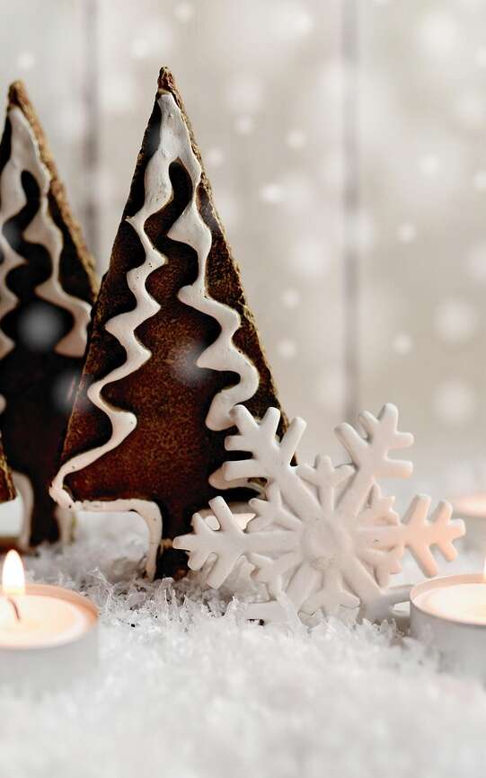 Patinoire Polarys - Le marché de Noël