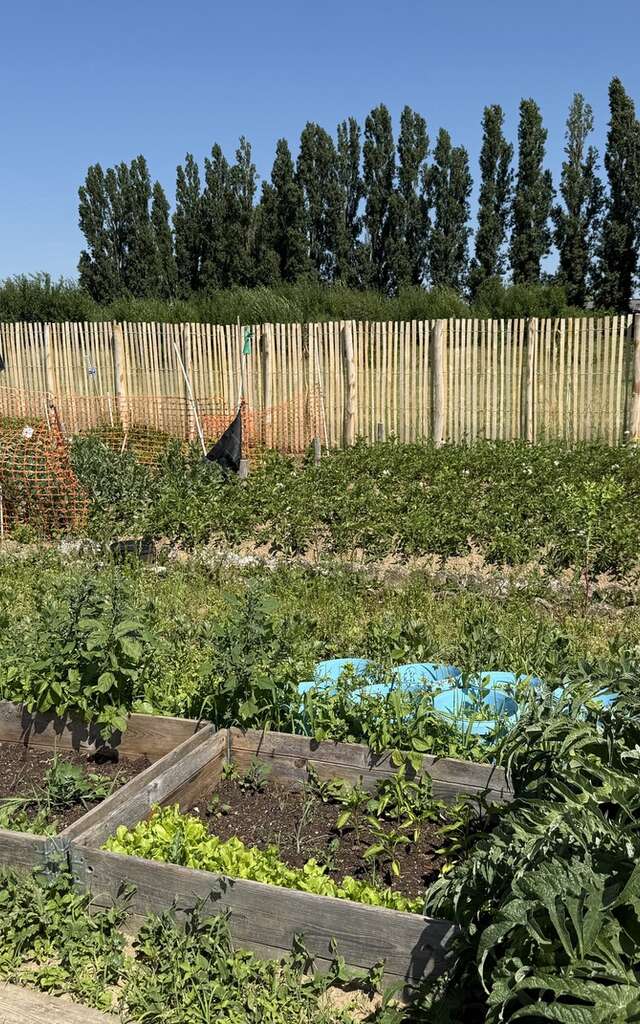Patrimoine jardinier - Journées Européennes du Patrimoine