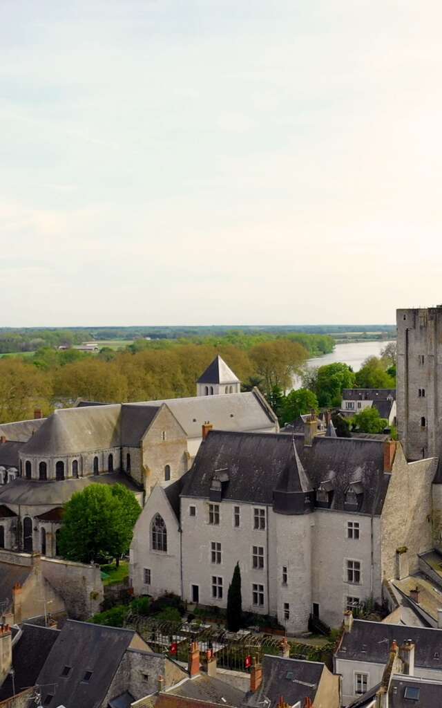 Château de Beaugency - Château de Lumières
