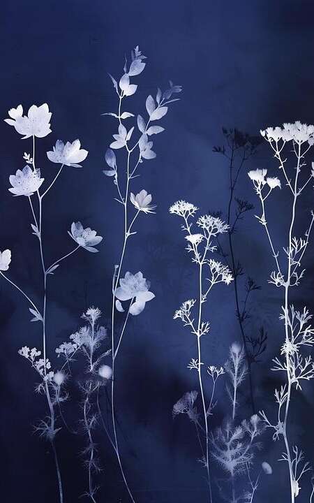 Atelier cyanotype