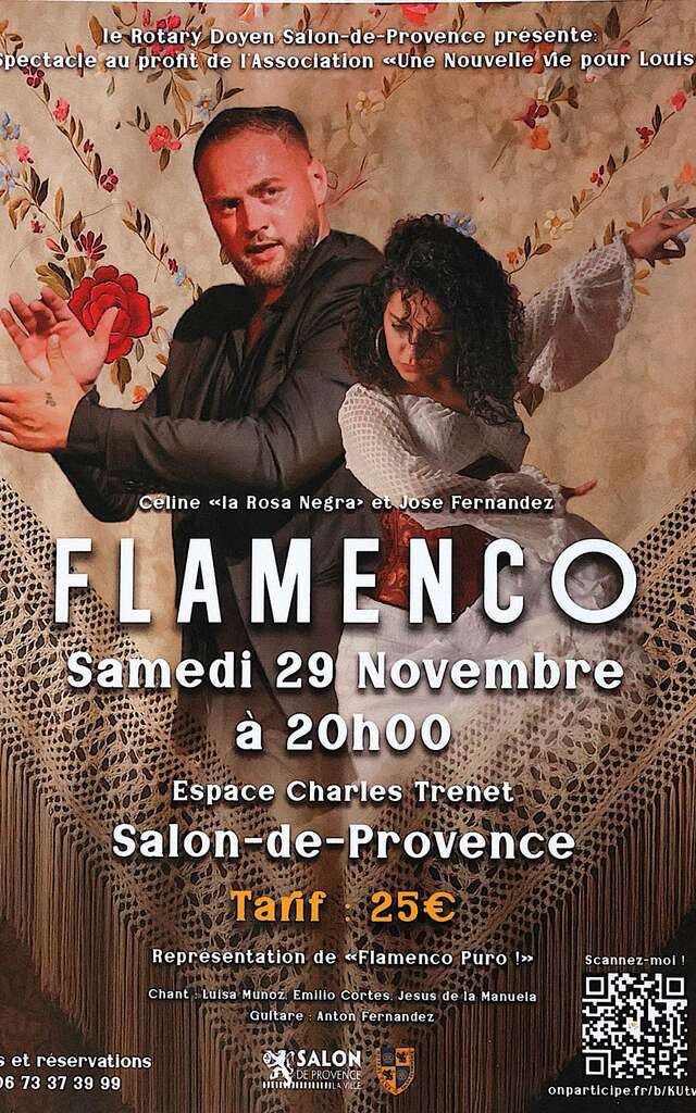 Spectacle : Soirée flamenco