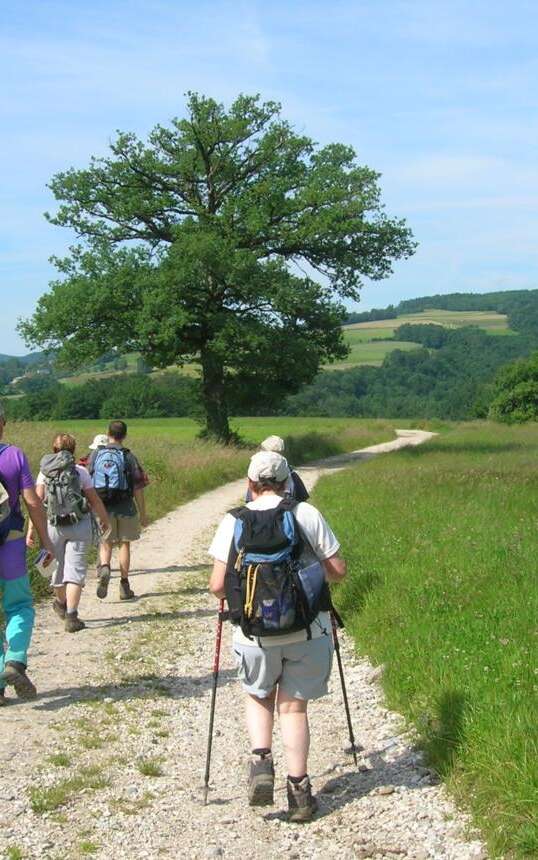 Le Plateau des Bornes