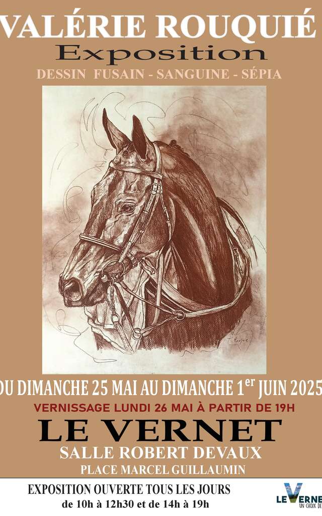 Exposition Valérie Rouquié