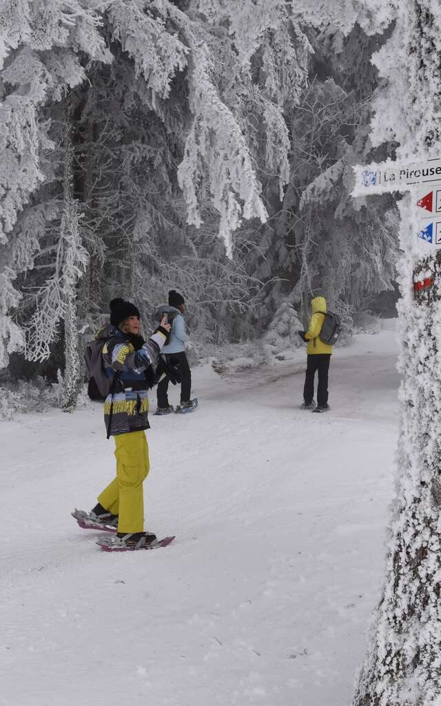 Veillées nordiques en Loire Forez