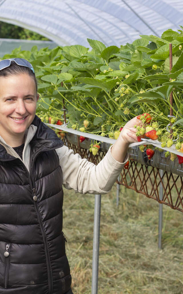 G.I.E. des producteurs de fruits rouges des Monts du Velay
