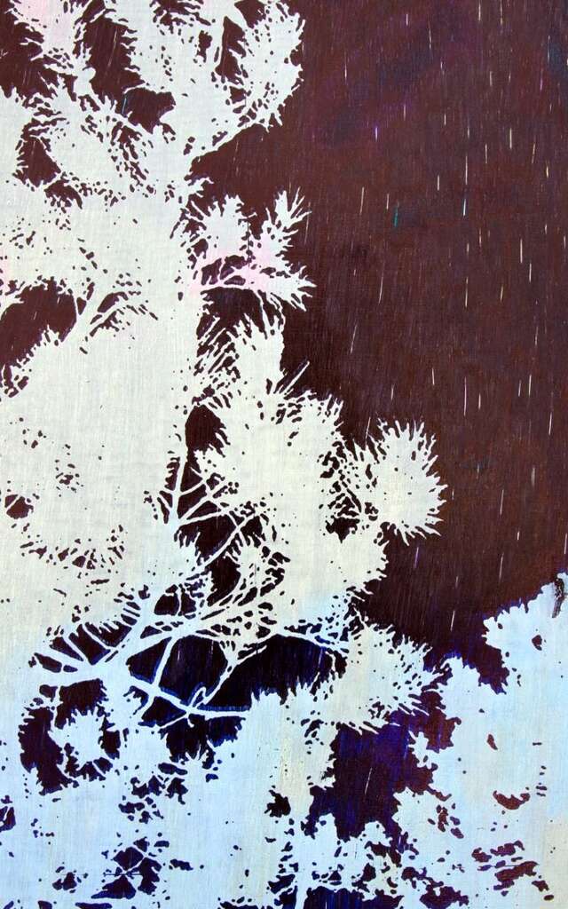 Exposition "Mémoires Fugitives"