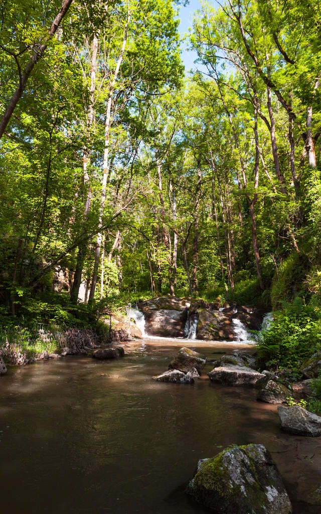 Rendez-vous en famille dans le Forez - 2 jours/1 nuit