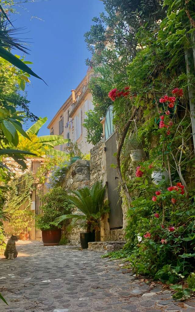 Guided tours of the village