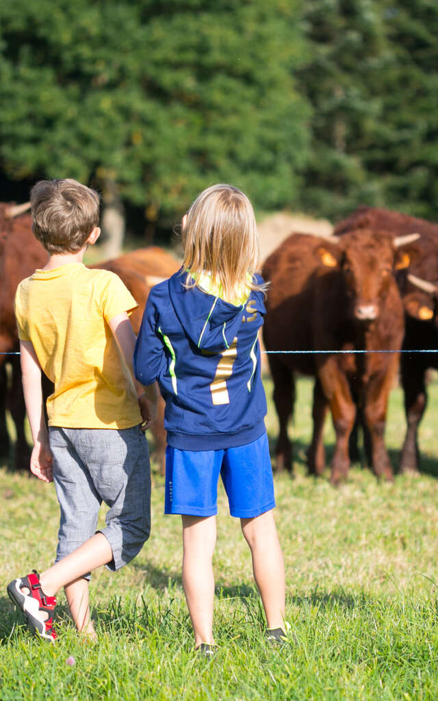 GAEC Salers et Bol d'Air