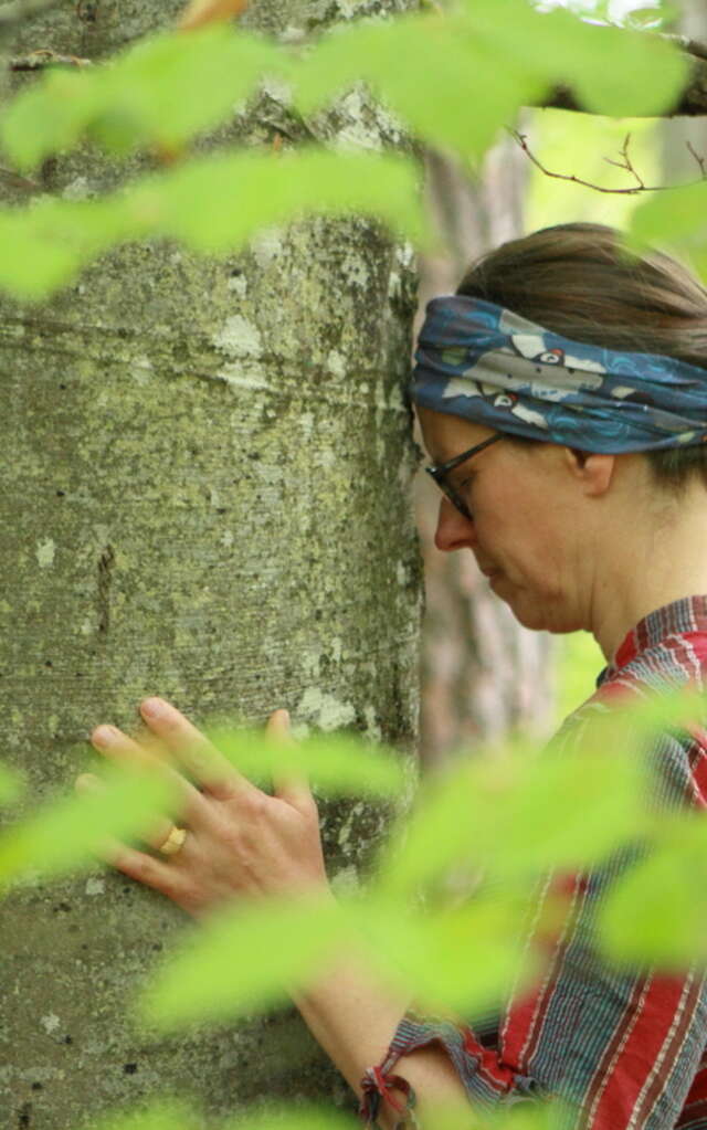 Améliorez votre bien-être intérieur grâce à une immersion nature